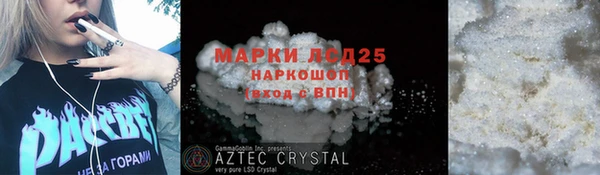 стафф Струнино