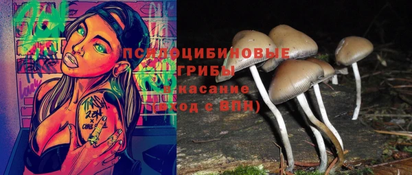 ПСИЛОЦИБИНОВЫЕ ГРИБЫ Алексеевка
