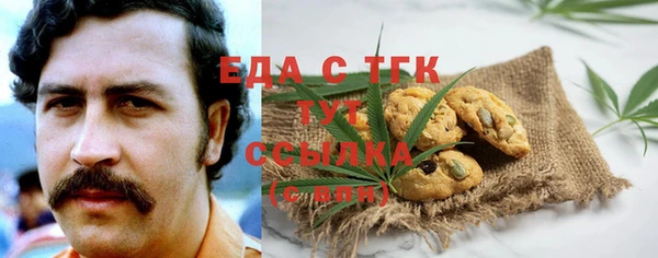 индика Абинск